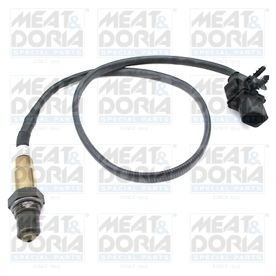 Oxygen Sensor